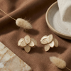 Ivory Petal Bloom Stud Earrings (Anti-Tarnish)